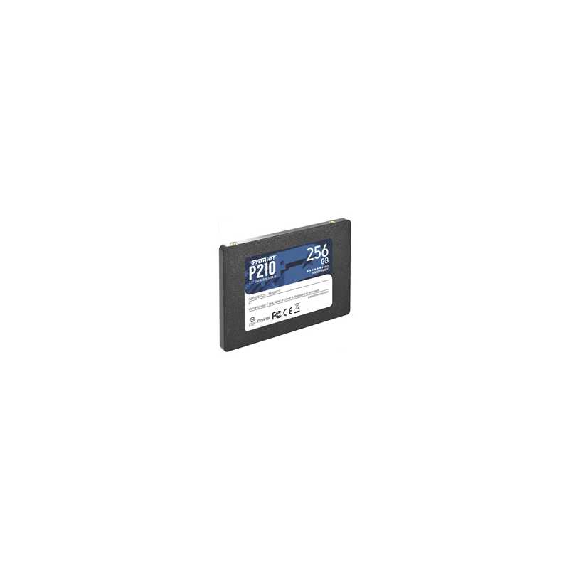 Patriot P210 SSD 256GB SATA 3 Internal Solid State Drive 2.5