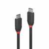 LINDY 36906 Black Line USB Cable, USB 3.2 Type-C (M) to USB 3.2 Type-C (M), 1m, Black & Red, SuperSpeed USB Supports Data Transf