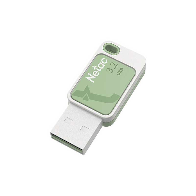 Netac 128GB USB 3.2 Memory Pen, UA31, Software Encryption, Key Ring, Smoothies Green