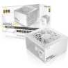 Antec GSK ATX3.1 850W Power Supply, White,80 PLUS Gold, Full Modular, PCIe 5.1, JP Capacitors, Silent FDB Fan, CircuitShield Pro